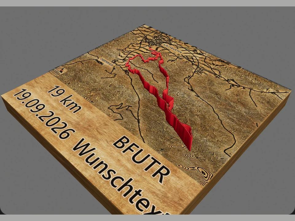 Vorschau BFUTR 19 Holz-Laser